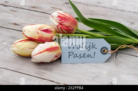 Greeting card with red, yellow and white tulips and dutch, text: Happy Easter Stock Photo