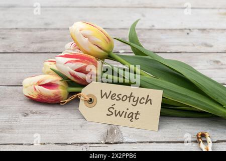 Greeting card with red, yellow and white tulips and polish, text: Happy Easter Stock Photo