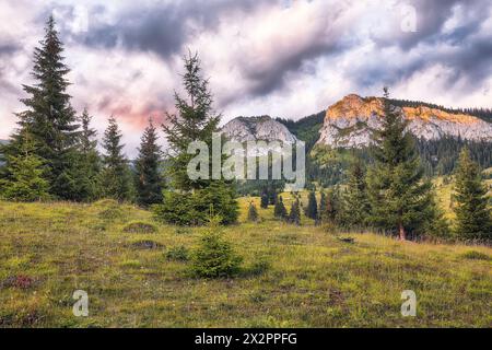 Amazing view of Pietrele Albe mountaine peak at summer time. Majestic sunset at Apuseni Natural Park, Cluj County, Transylvania, Romania, Europe Stock Photo