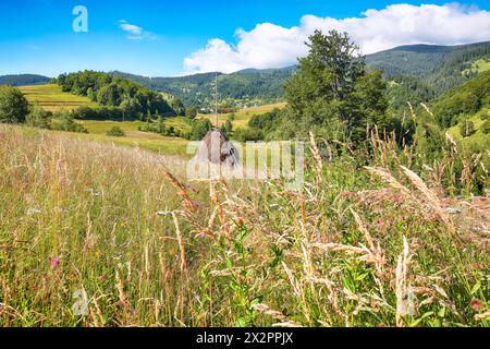 Amazing countryside landscape of romanian village Rogojel with forested hills and haystacks on a grassy rural field in mountains. Location: Rogojel, C Stock Photo