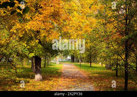 Path strewn with autumn leaves passes between the trees in the autumn park Stock Photo