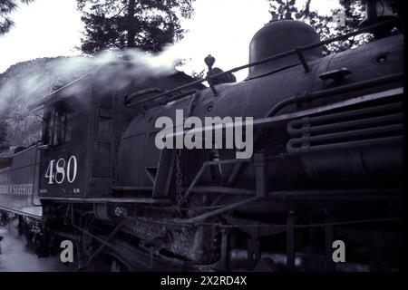 Working Durango & Silverton locomotive parked with steam in a mountain forest monochrome grade. Stock Photo