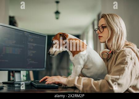 Software programmer coding on computer near dog at home office Stock Photo