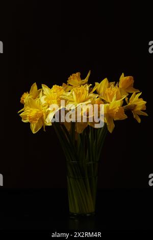 A bouquet of daffodils in a vase on dark background Stock Photo
