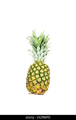 Fresh whole pineapple isolated on white background. Stock Photo