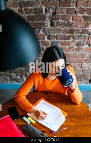 Woman studying and drinking coffee at restaurant Stock Photo