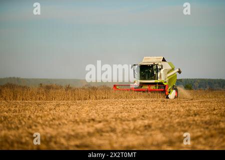 Farmer harvesting soybean field with combine harvester Stock Photo