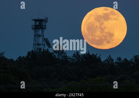 Madrid, Spain. 23rd Apr, 2024. The full moon of April known as the Pink Moon rises over a fire lookout tower. Credit: Marcos del Mazo/Alamy Live News Stock Photo