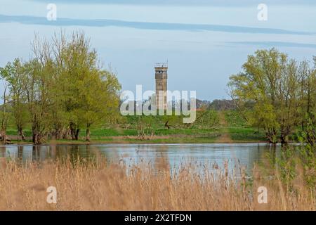 Former watchtower of the GDR, watchtower, trees, reeds, water, Elbe, Elbtalaue near Bleckede, Lower Saxony, Germany Stock Photo