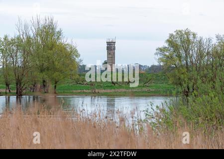 Former watchtower of the GDR, watchtower, trees, reeds, water, Elbe, Elbtalaue near Bleckede, Lower Saxony, Germany Stock Photo