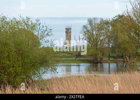 Former watchtower of the GDR, watchtower, trees, reeds, water, Elbe, Elbtalaue near Bleckede, Lower Saxony, Germany Stock Photo