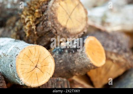 Natural wooden background - close-up of chopped firewood. A pile of firewood stacked and prepared for winter. Horizontal. Background Stock Photo