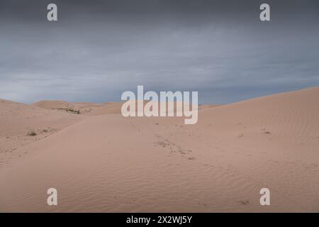 Tengri Desert in the Inner Mongolia Autonomous Region in China. Sunset picture with copy space for text Stock Photo