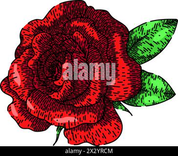 fragrance rose sketch hand drawn vector Stock Vector