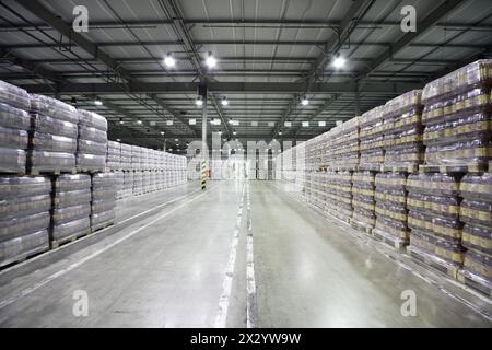 MOSCOW - MAY 31: Lot of packaged beer in warehouse in Ochakovo factory, on May 31, 2012 in Moscow, Russia. Ochakovo company was founded in 1978. Stock Photo