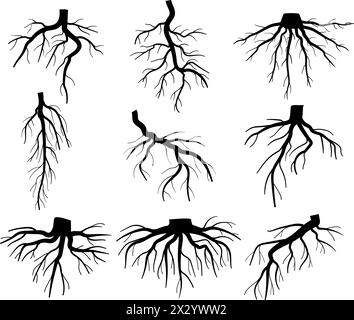 stability tree root cartoon vector illustration Stock Vector Image ...