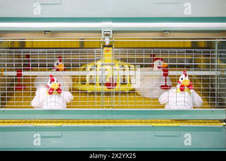 Demonstration of chicken industrial incubator with soft toy chickens. Stock Photo