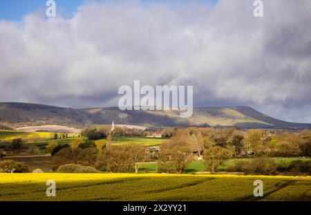 Spectacular views of rapeseed fields, Berwick church and the south  downs from Milton street in east Sussex south east England UK Stock Photo