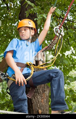 Young boy engaged in climbing with tree. Stock Photo