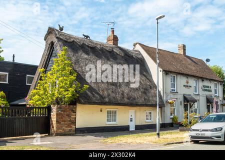 Animal finials on a thatched roof, a cat chasing a hen, and a traditional brick chimney. Great Shelford, Cambridgeshire, England, UK Stock Photo