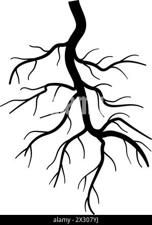 nutrients tree root cartoon vector illustration Stock Vector Image ...