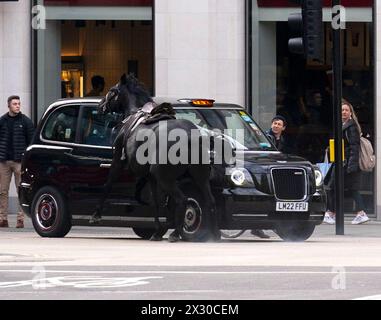 Household Cavalry horses Trojan (Black) and Vida (grey, not pictured) on the loose bolt through the streets of London near Aldwych. Picture date: Wednesday April 24, 2024. Stock Photo