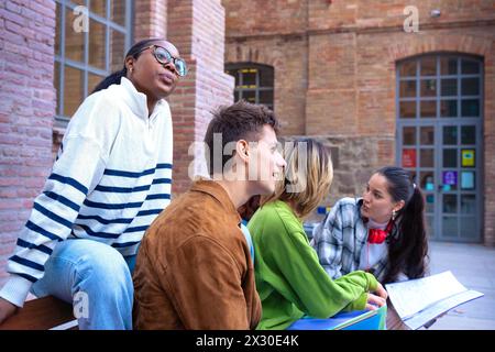 Group of happy multiracial students studying outdoors at college.  Stock Photo