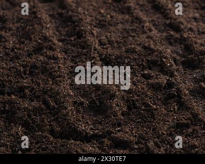 Close-up of the nutrient-rich soil as the basis for successful and sustainable sowing  RECORD DATE NOT STATED Stock Photo