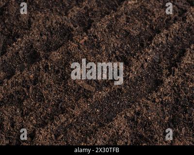 Close-up of the nutrient-rich soil as the basis for successful and sustainable sowing  RECORD DATE NOT STATED Stock Photo