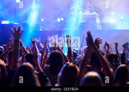 Excited audience enjoying music at a festival