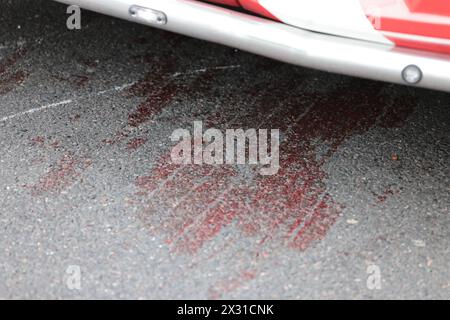 London, UK. 24th Apr, 2024. Blood on the road near Buckingham Palace in Westminster where a serviceman has been injured. A number of Household Cavalry horses are currently on the loose. Photo credit: Ben Cawthra/Sipa USA Credit: Sipa USA/Alamy Live News Stock Photo