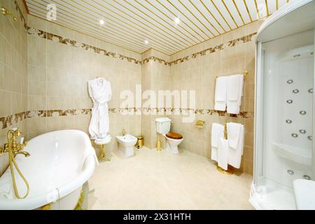 Clean bathroom with bath, shower cabin, toilet and bidet in classic style. Stock Photo