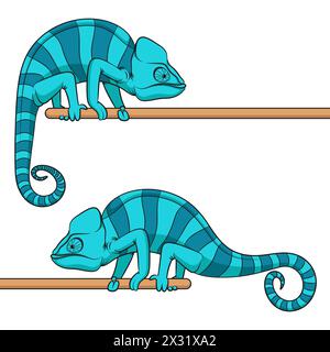 Set of color illustrations with blue chameleon. Isolated vector object on white background. Stock Vector