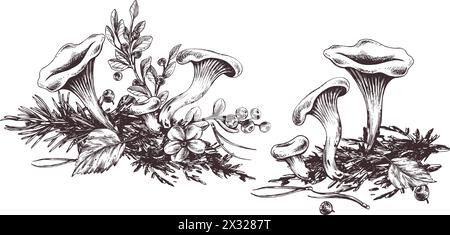 Forest chanterelle mushrooms with blueberry bushes, moss and autumn leaves. Graphic line art illustration hand drawn in black ink. Set of composition Stock Vector