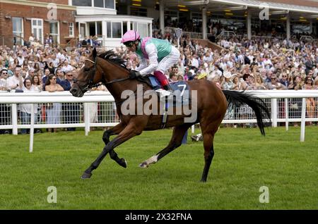 File photo dated 19-08-2023 of Arrest. An outing at either Chester or York is on the cards for Arrest next month after the St Leger runner-up returned to action in the John Porter Stakes. Issue date: Wednesday April 24, 2024. Stock Photo