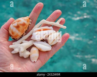 A hand holding tropical sea shells and coral against a background of turquoise Maldivian sea depicting calm, relaxed contentment (with copy space) Stock Photo