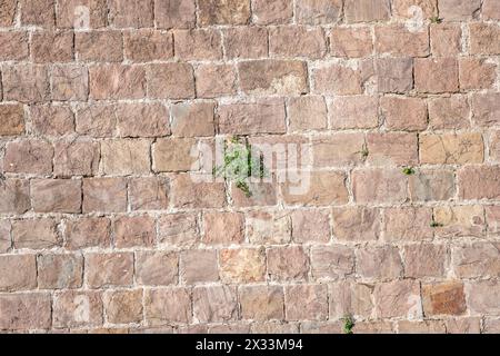 Very old stone wall, perfect for background.  Barcelona, Catalonia, Spain. Stock Photo