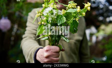 A man holding some wild flowers in his hand. A gift. Mothers day. Stock Photo