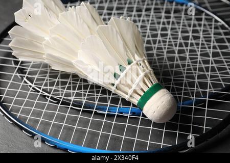 Feather badminton shuttlecocks and rackets on grey background, closeup Stock Photo