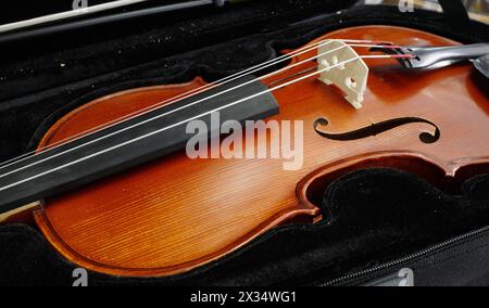 quality student violin in case Stock Photo