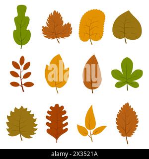 Set of twelve different autumn leaves isolated on white background. Vector illustration. Stock Vector