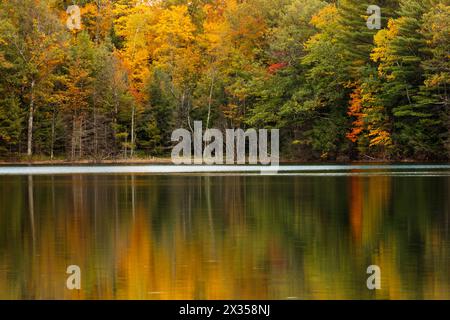 Clear Lake shoreline reflects into the very calm water of the lake in northern Wisconsin near Woodruff, in early October Stock Photo