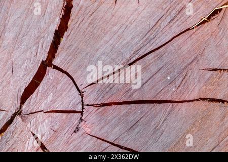 A piece of wood with a large crack in it. The crack is deep and extends across the entire width of the wood. The wood appears to be old and weathered, Stock Photo