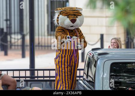 Baton Rouge, LA, USA. 24th Apr, 2024. LSU's mascot Mike the Tiger throws a set of beads to fans during LSU's National Championship Parade and Celebration at the Pete Maravich Assembly Center in Baton Rouge, LA. Jonathan Mailhes/CSM/Alamy Live News Stock Photo