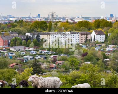 Hamburg, Germany. 23rd Apr, 2024. View from Georgswerder energy hill over allotments towards Hafencity and the Elbphilharmonie concert hall. Credit: Markus Scholz/dpa/Alamy Live News Stock Photo