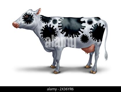 Cow Virus Outbreak as a bovine coronavirus symbol as an agricultural pathology symbol or the effects of avian or bird flu as a public health concern. Stock Photo