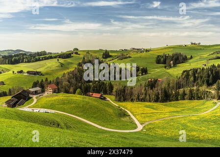 Hilly landscape in the Appenzellerland with farm houses and dandelion meadows in spring, Canton of Appenzell Innerrhoden, Switzerland Stock Photo