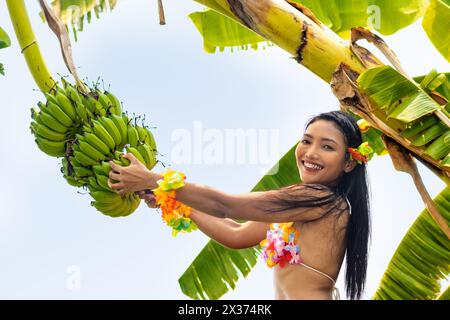 Hawaiian hula dancer pulls a bunch of bananas growing on a palm tree Stock Photo