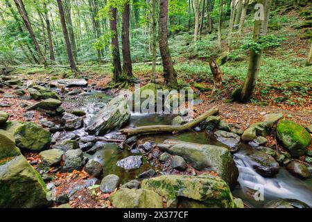 Green forest creek, stream of the Alps mountains. Beautiful water flow, sunny colorful mossy rocks nature landscape. Amazing peaceful relaxing stream Stock Photo