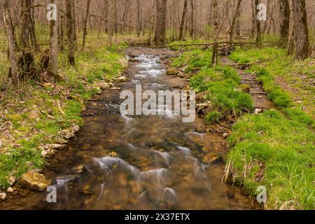 A creek with small rapids in the woods during early spring with budding trees. Stock Photo